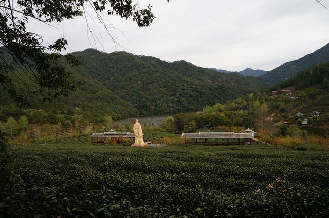 漳平市—之水岸茶园之恬静九鹏溪