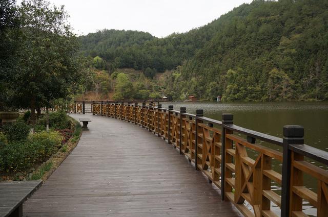 漳平市—之水岸茶园之恬静九鹏溪