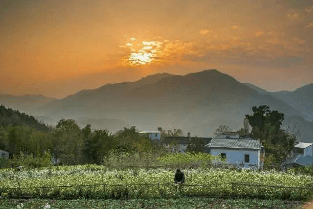 秋天的坡山村_歙县坡山村农家乐接待中心