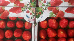 有机草莓，送礼佳品！